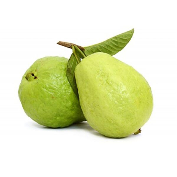 Desi  guava