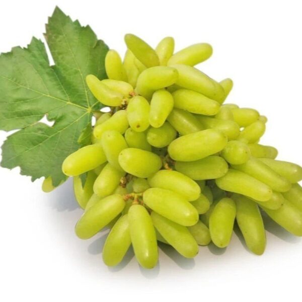 Solapur grapes 1k.g.